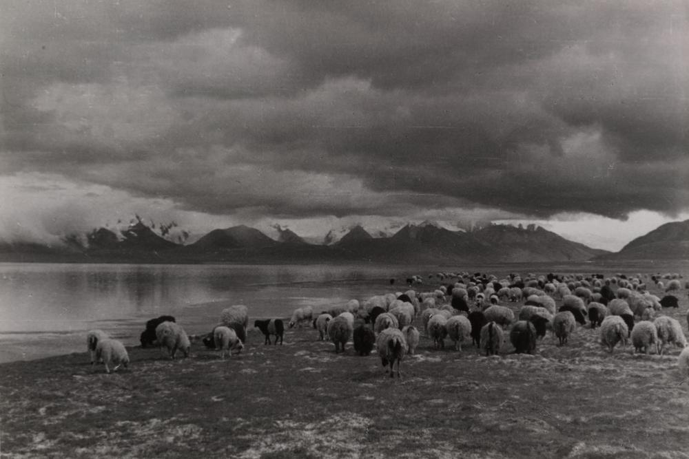 图片[1]-photographic print(black and white); album BM-1986-0313-0.1.225-China Archive